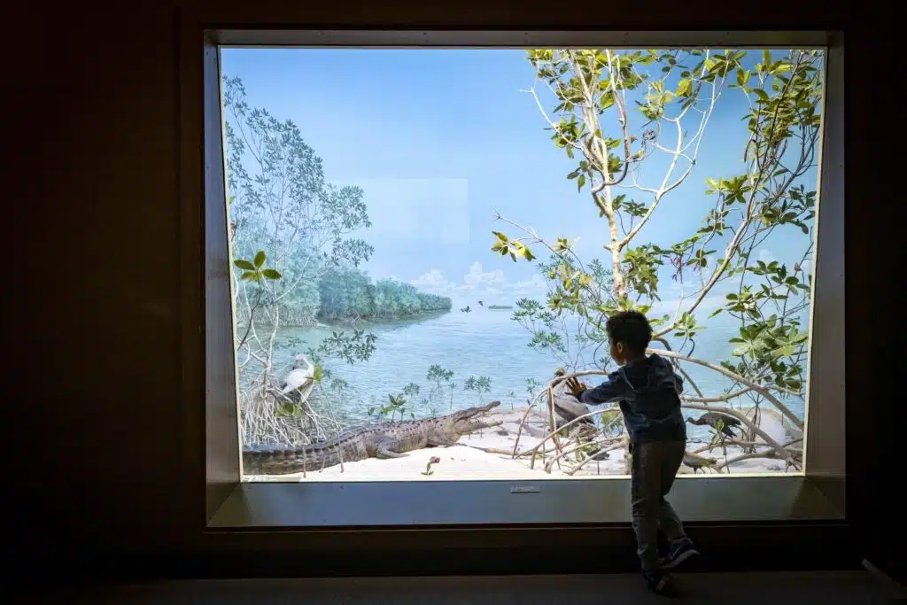 A child observing what the Florida exhibit is offering