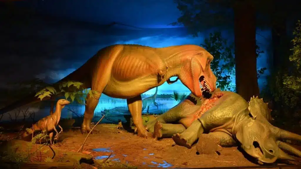 Tyrannosaurus rex attacking dinosaur in Milwaukee Public Museum exhibit