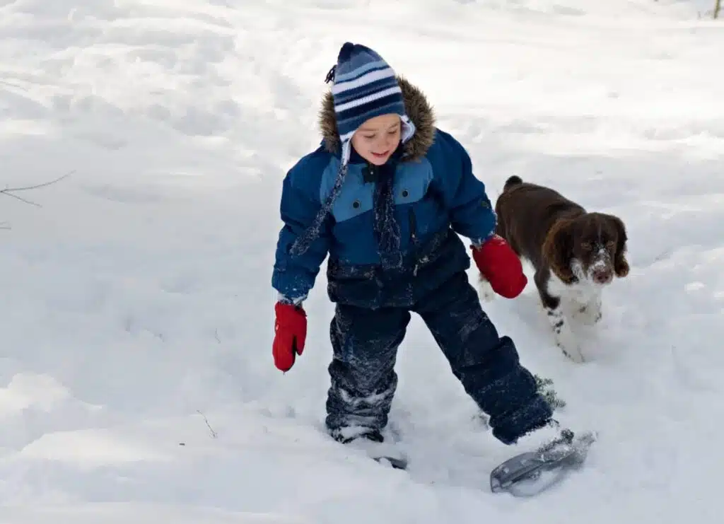 Child in blue snowsuit and dog playing in snow near Milwaukee snowshoe trails