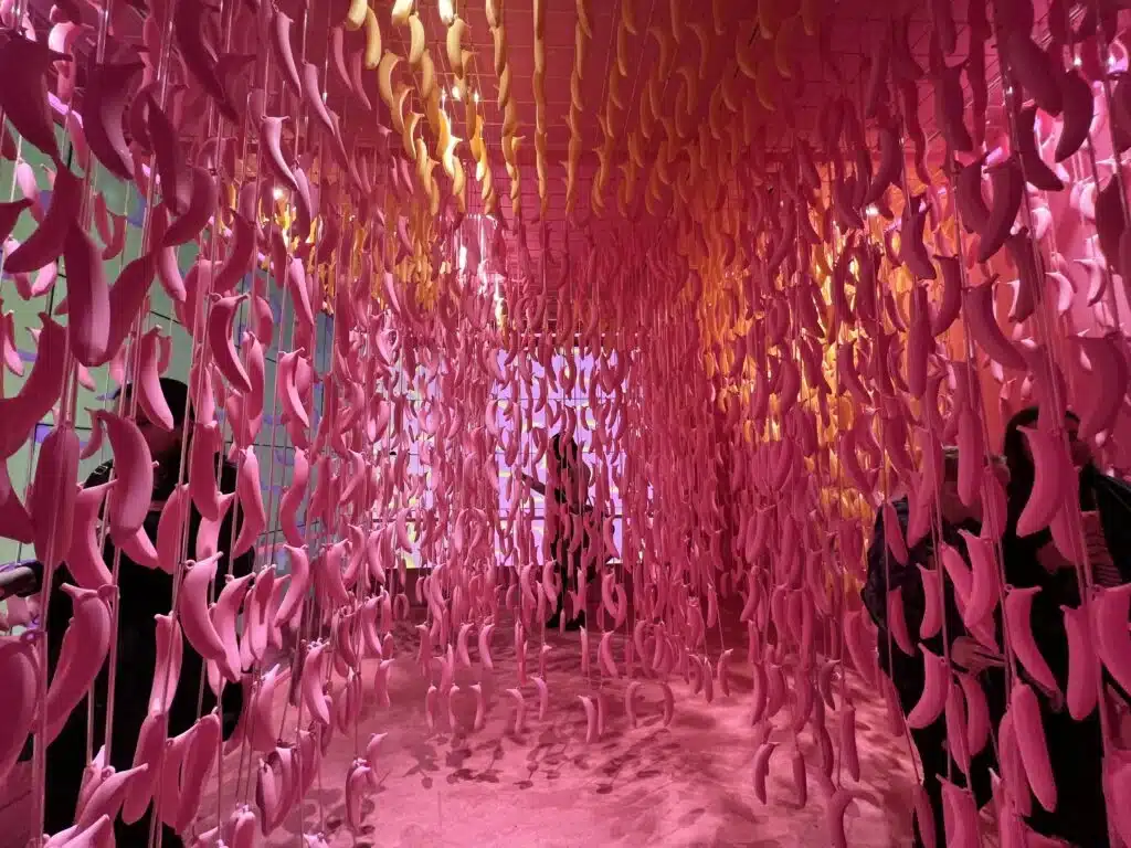 Hanging pink and yellow bananas create an immersive hallway at the Museum of Ice Cream.