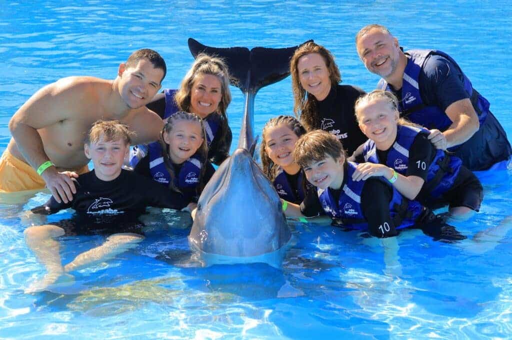 A family group smiling with a dolphin at a dolphin encounter in Cabo San Lucas, showcasing a fun and interactive vacation activity for all ages.