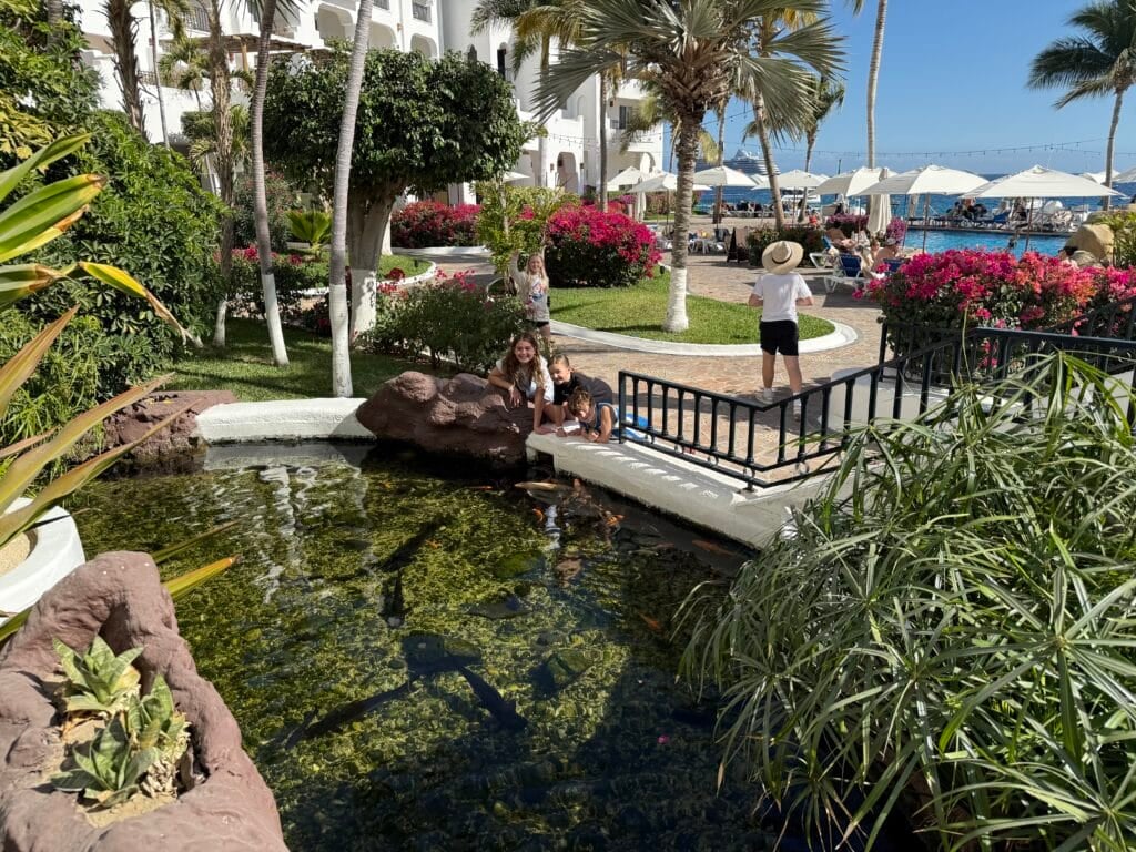 Children exploring a tranquil pond with koi fish and lush greenery in the beautifully landscaped grounds of Pueblo Bonito Los Cabos.