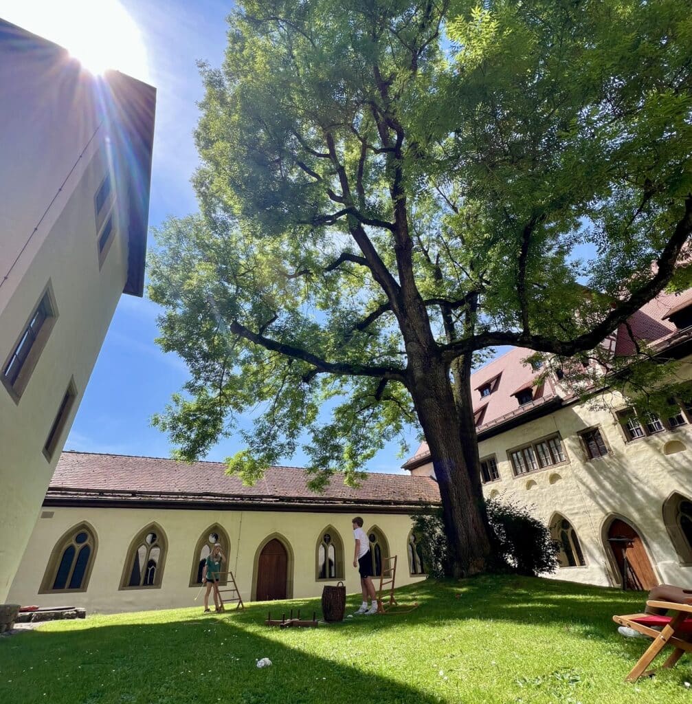An inner courtyar with a large tree that serves as shade for people