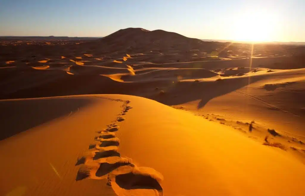 Golden brown sands of Sahara desert with aninmal footprints
