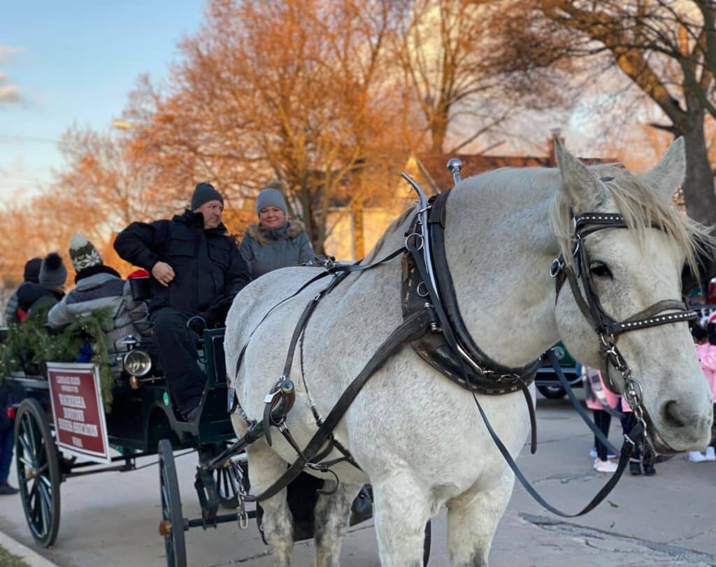 A white horse is pulling a sleigh with people enjoying the ride during fall.