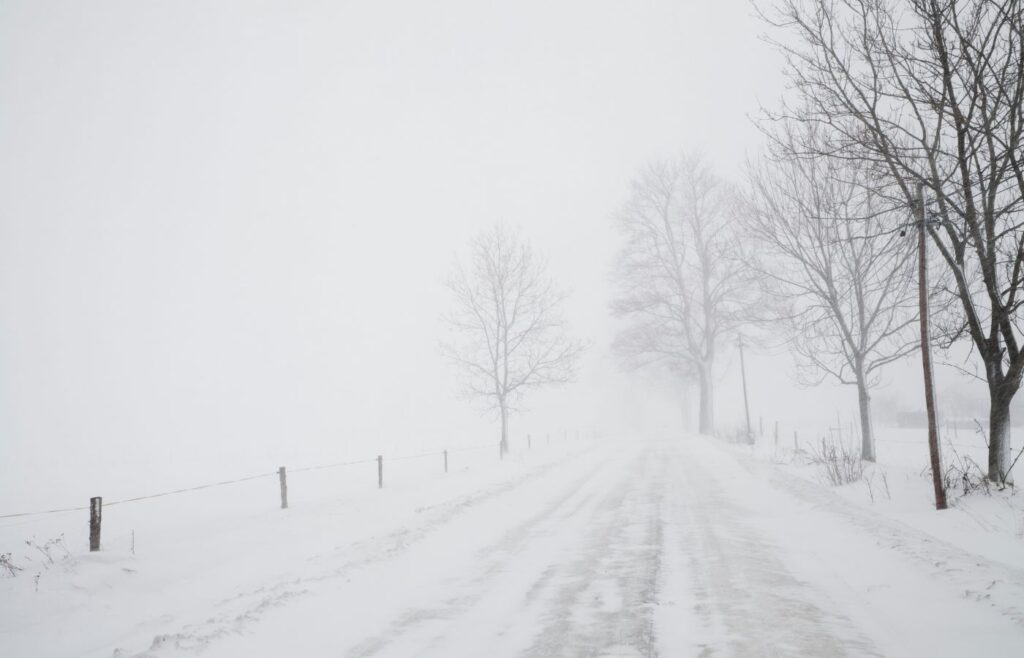 A severe snowstorm with low visibility and trees without leaves - blizzard facts for kids