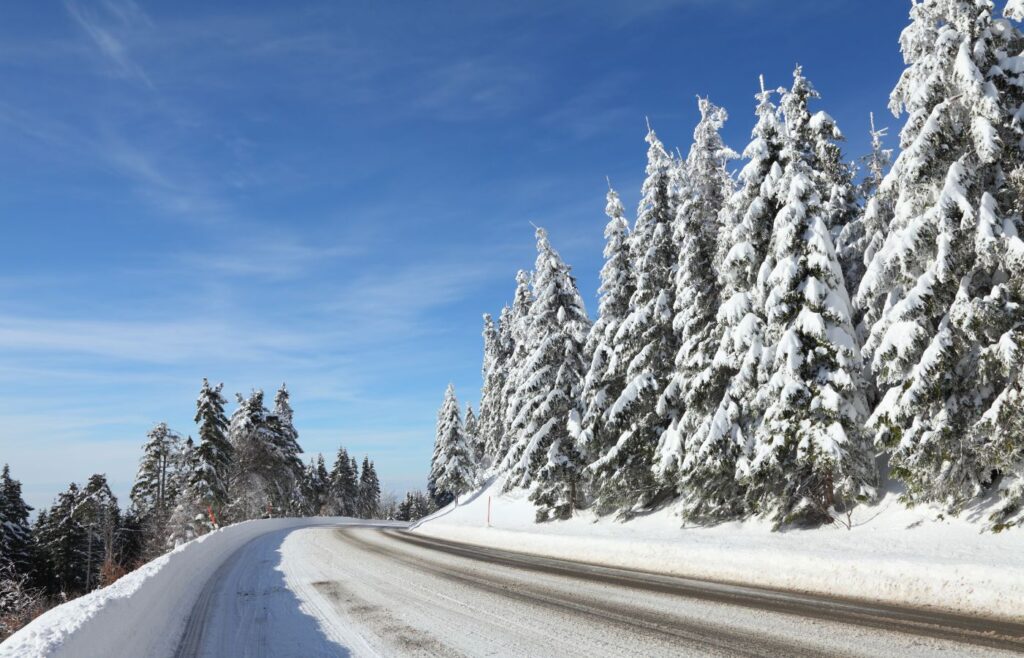 Road after a blizzard with the road and pine trees partially covered with snow - kid trivia about snow