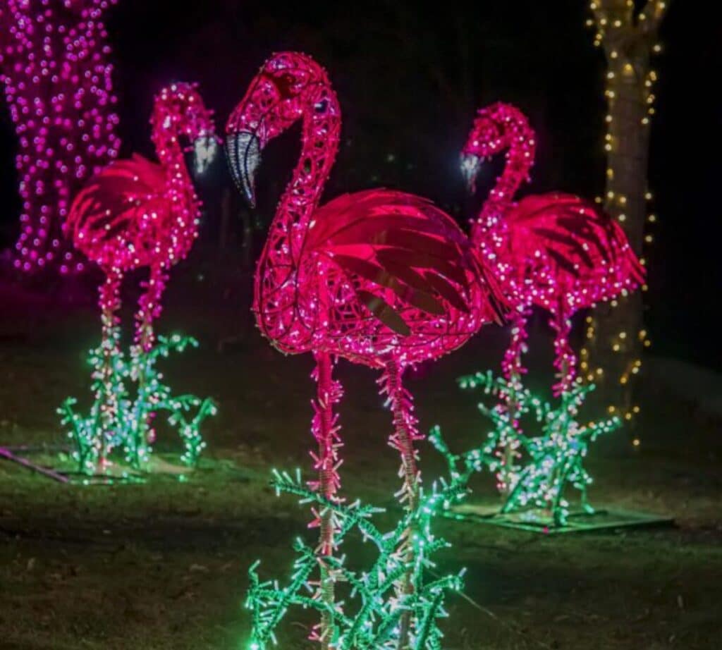 Three pink flamingo light displays at Wild Lights Milwaukee County Zoo 