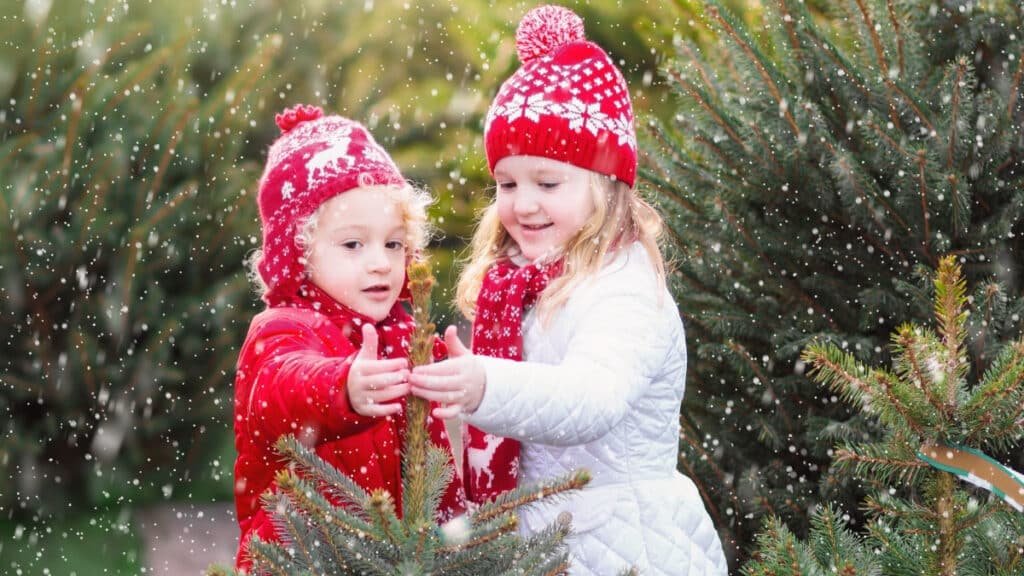Two girls with red bonnet choosing a Christmas tree - winter holiday trivia for kids