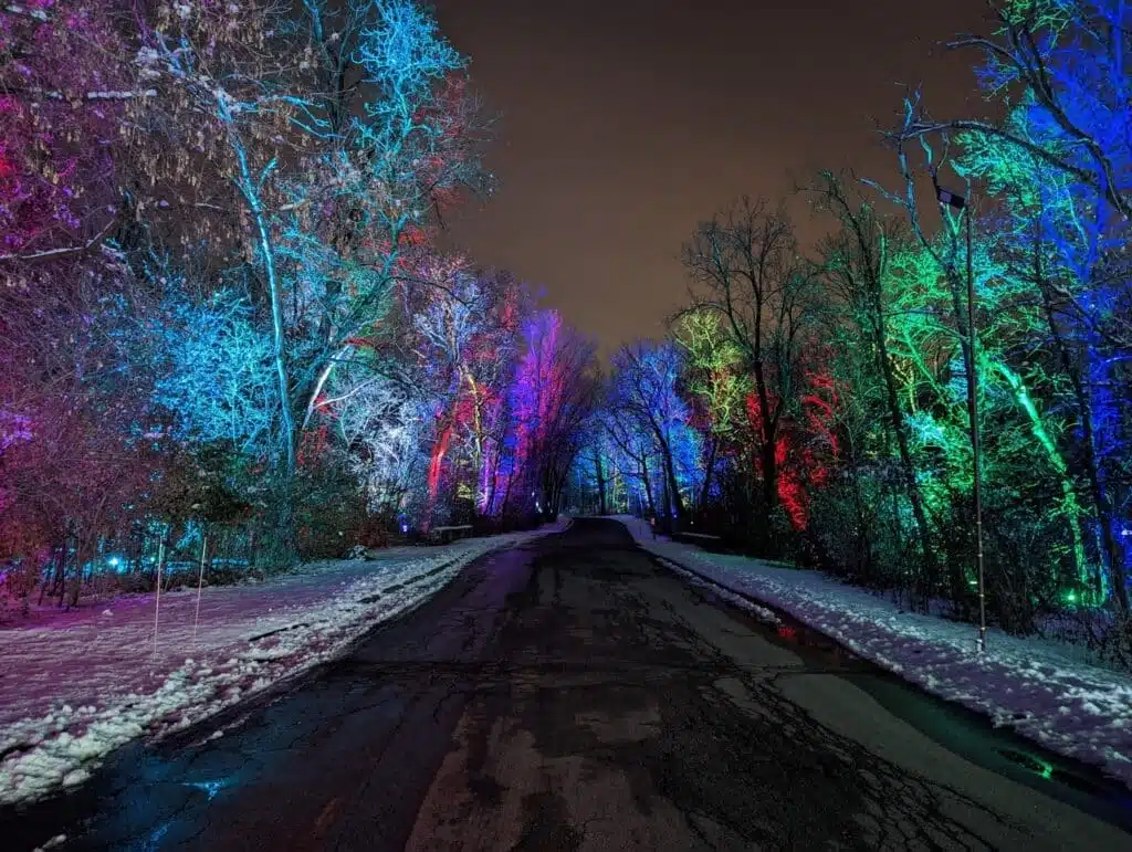 Snowy road with rows of trees on the side at the Winter Wonders light show at the Boerner Botanical Gardens in Hale Corners Wisconsin